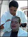 PolMetamorfose1.jpg